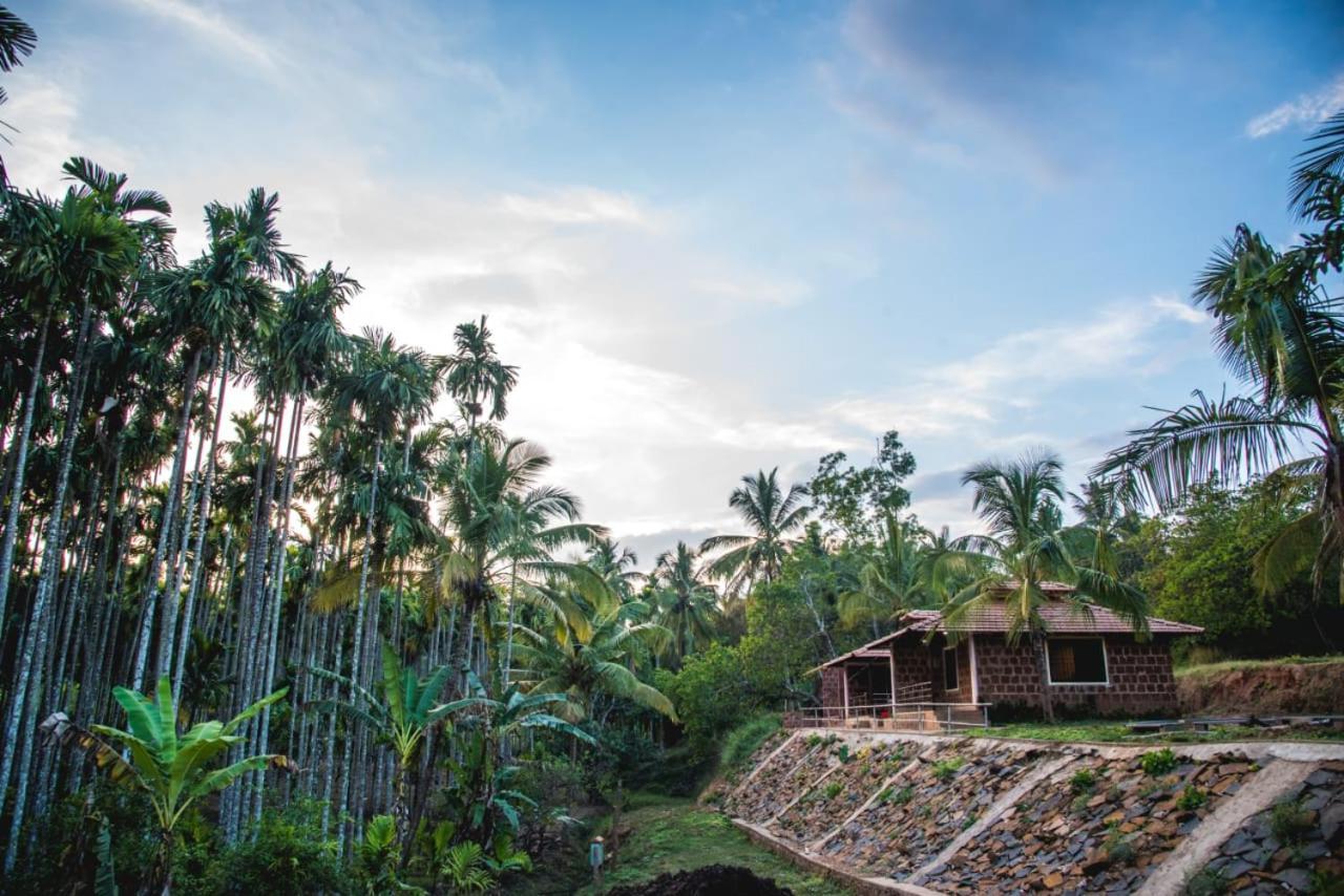 Dandeli Jungle Resort Zewnętrze zdjęcie