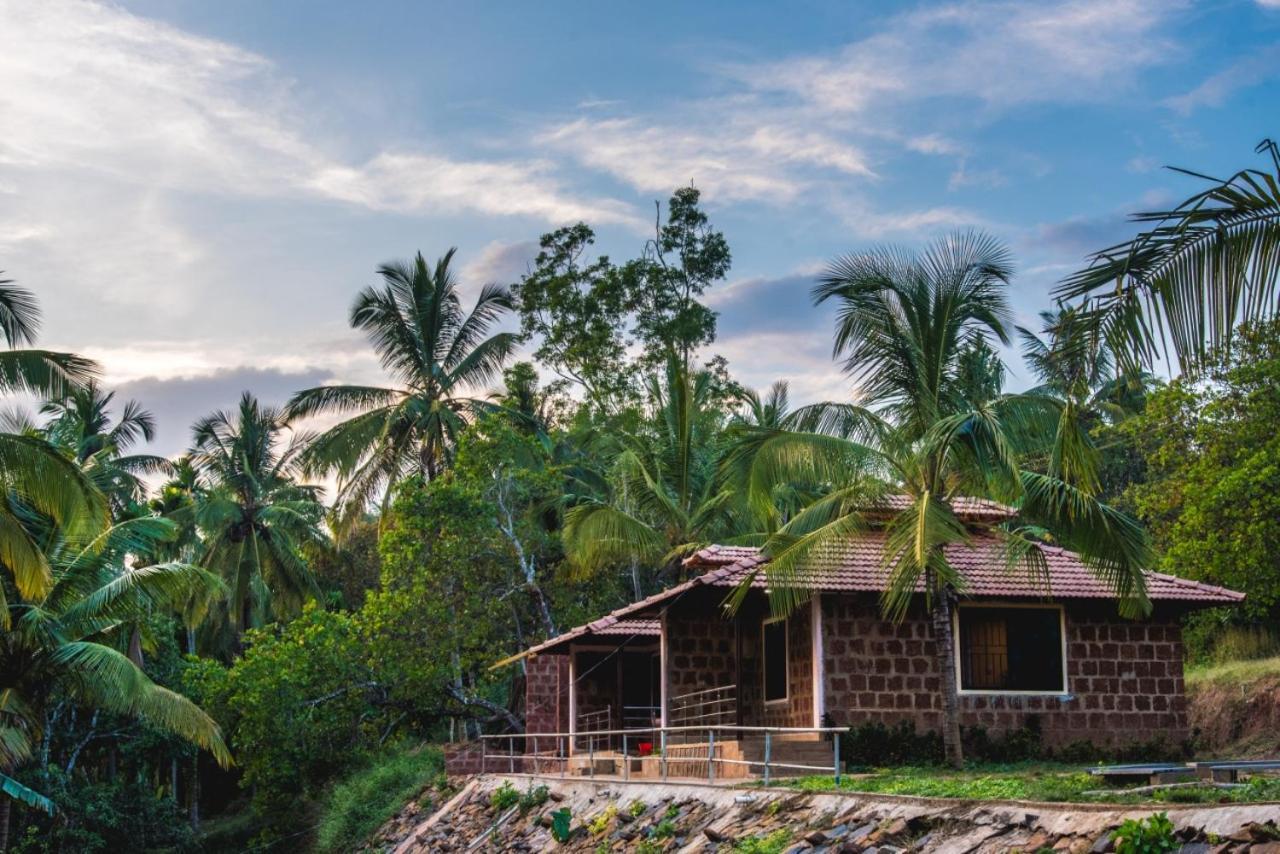 Dandeli Jungle Resort Zewnętrze zdjęcie